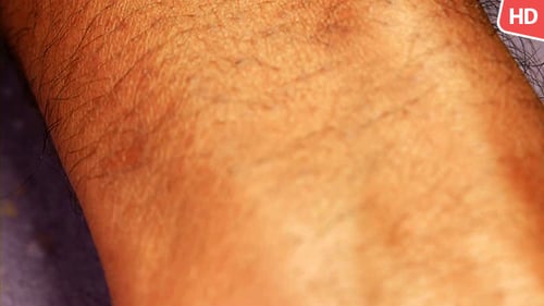 Extreme Close Up View of a Wrist and Arm