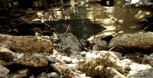 Unterwasser 1