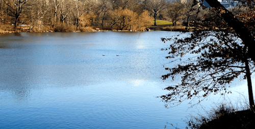 NYC Central Park Lake 2