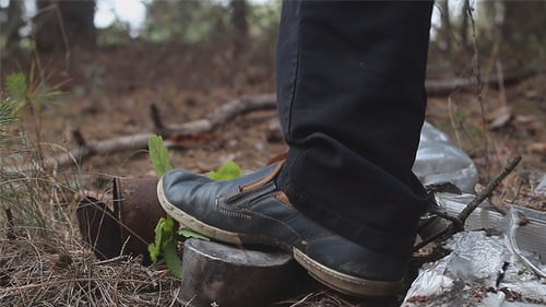 Plant Crushed by Shoe Amongst Trash in Forest