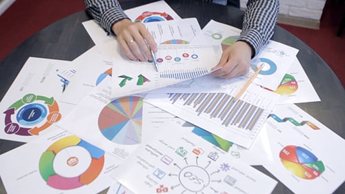 Analyst Reviews Business Charts and Graphs