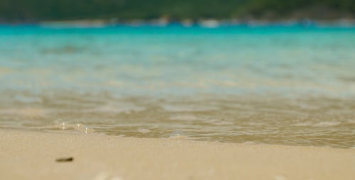 Soft Wave of the Blue Sea