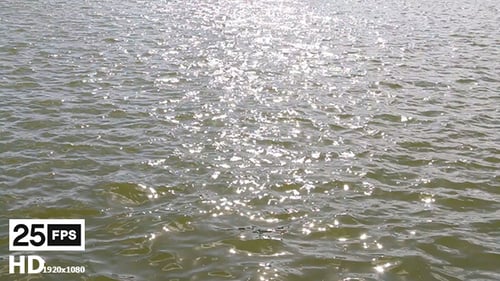 Glistening Water Surface Reflecting Bright Sunlight