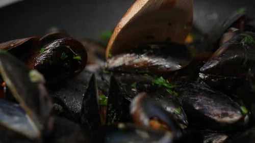 Mussels 13