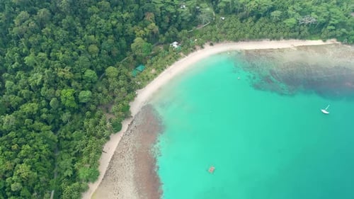 Aerial View of Tropical Sandy Beach in Bay with Blue Water. Seascape with Sea, Sand, Palm Trees. Top