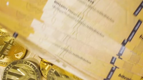 La monnaie Internet Bitcoin tombe sur un modèle réel