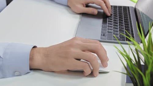 Close Up of Woman Is Holding Mouse By Her Hand