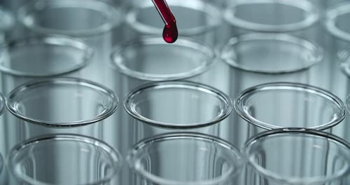 Testing Blood In The Lab
