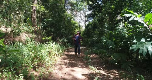 Hiker with Backpack Walking Through a Tropical Forest