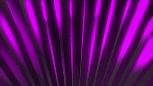 Dynamic Abstract Neon Purple Lines Looping Motion Background