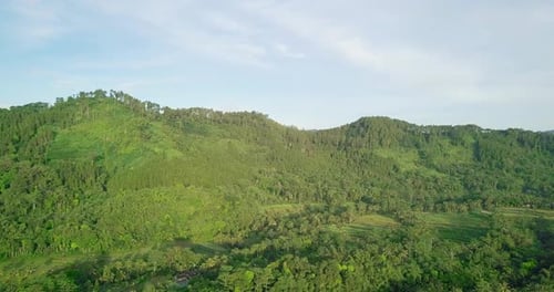 Slow aerial forward flight towards green hills with growing tropical trees and plants against blue s