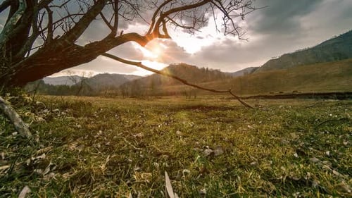 Zeitraffer des Todesbaums und trockenes gelbes Gras in Berglandschaft mit Wolken und Sonnenstrahlen