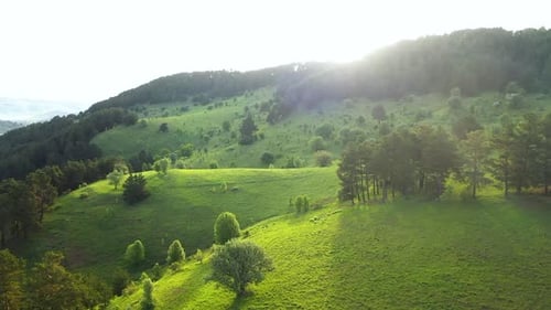 Vue aérienne du lever du soleil et de la nature