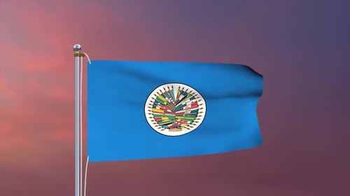 Organization Of American States Flag