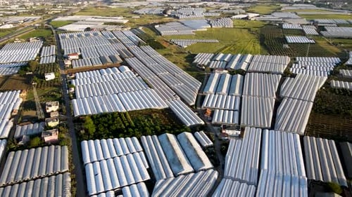 Greenhouses Aerial View