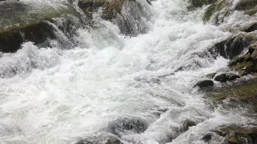 Foamy Water Stream in Mountains Close Up
