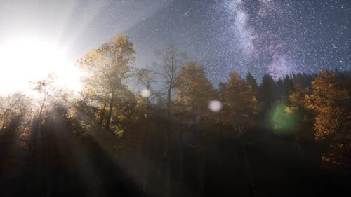 Milky Way Stars with Moonlight