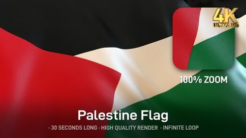 Realistic Waving Flag of Palestine Seamless Loop