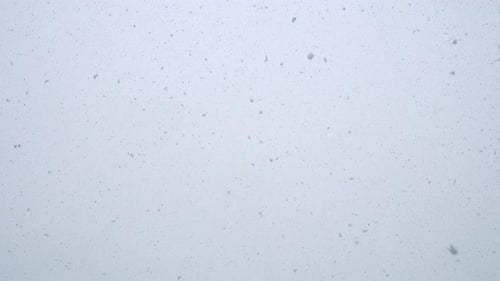 Looped Footage of Fresh White Snow