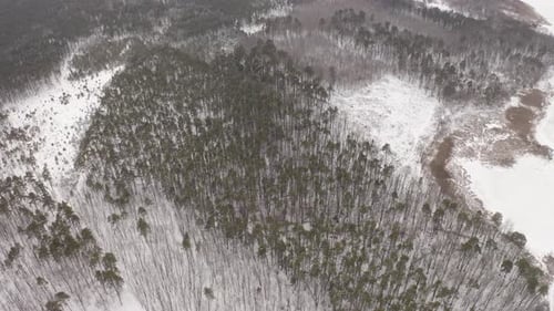 Aerial View Rotation Of The Winter Forest