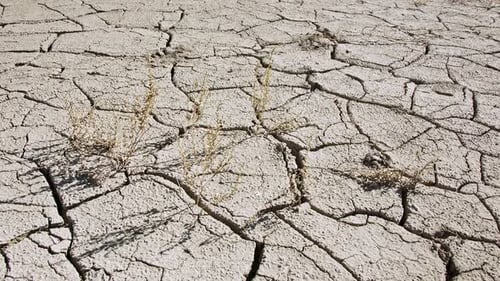 Cracked Mud Flat Under the Bright Daytime Sun