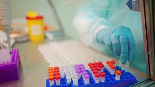 Laboratory Work with Test Tubes and Pipette