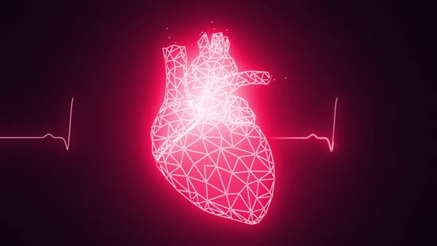 Human Heart Beating Animation, Backgrounds Motion Graphics ft. human ...