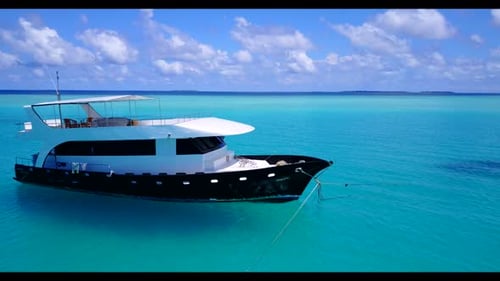 Aerial above travel of exotic resort beach wildlife by blue sea and white sand background of journey