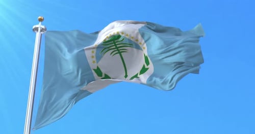 Drapeau de la province de Neuquén, Argentine