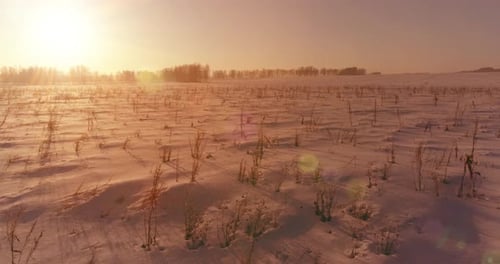 Aerial Drone View of Cold Winter Landscape with Arctic Field, Trees Covered with Frost Snow and