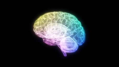 Wire Brain Rotating Loop