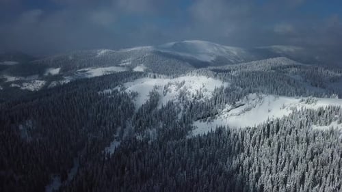 Flying above winter mountain forest. Beautiful aerial landscape. Trees covered with snow