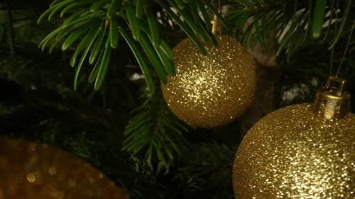 Golden Christmas Baubles Hanging on a Fir Tree
