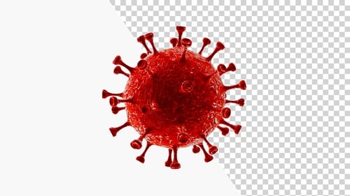 3D Red Virus Cell Rotating Alpha Channel Medical Animation