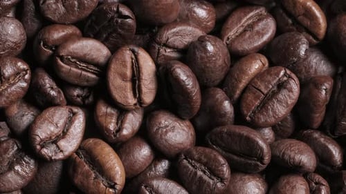 Close Up of Roasted Coffee Beans