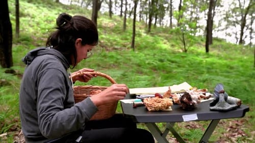 Woman putting mushroom on table in forest with tent
