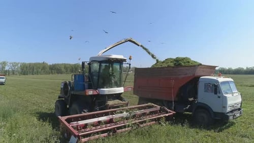 Drohnenaufnahme von Mähdrescher und LKW auf einem Weizenfeld. 03