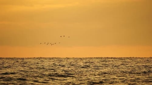Abstrakte Natur, Sommer, Meer, warmer goldener Sonnenuntergang, Meereshintergrund