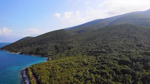 Aerial Drone View Flight Over Tree Forest in Mountain and Sea