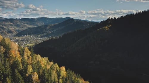 Aerial Mountain Pine Forest