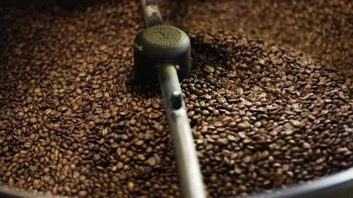 Coffee Beans Mixing in a Cooling Machine
