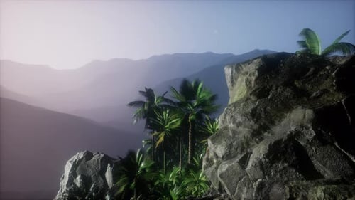 Tropical Mountain Landscape with Palm Trees and Scenic View