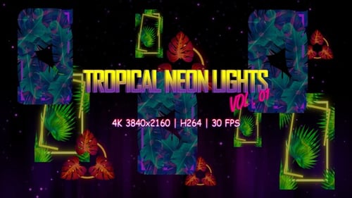 Tropical Neon Lights Vol. 01 4K VJ Loop