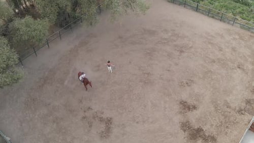 Aerial Riding Horse Farm Training