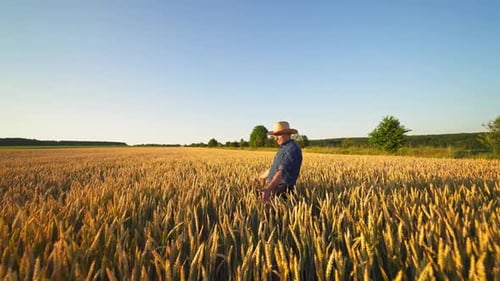 Farmer on agricultural land