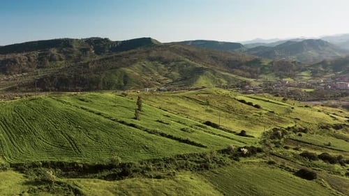 Hills with Newly Born Green Lawn in Spring in Calabria Region of Italy