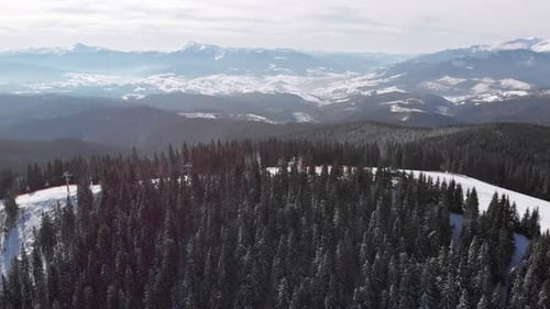 Aerial Ski Slopes with Skiers and Ski Lifts on Ski Resort, Snowy Mountain Forest