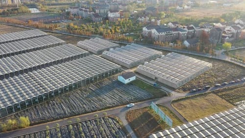 Aerial View of Greenhouses in Rural Agricultural Area
