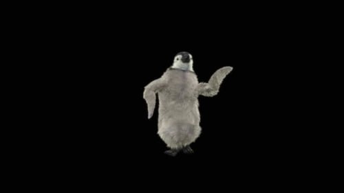 Penguin Dancing HD