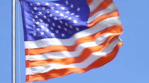 United States of America Flag